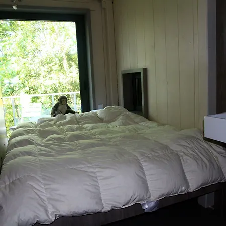 La De Luca Bed & Breakfast *